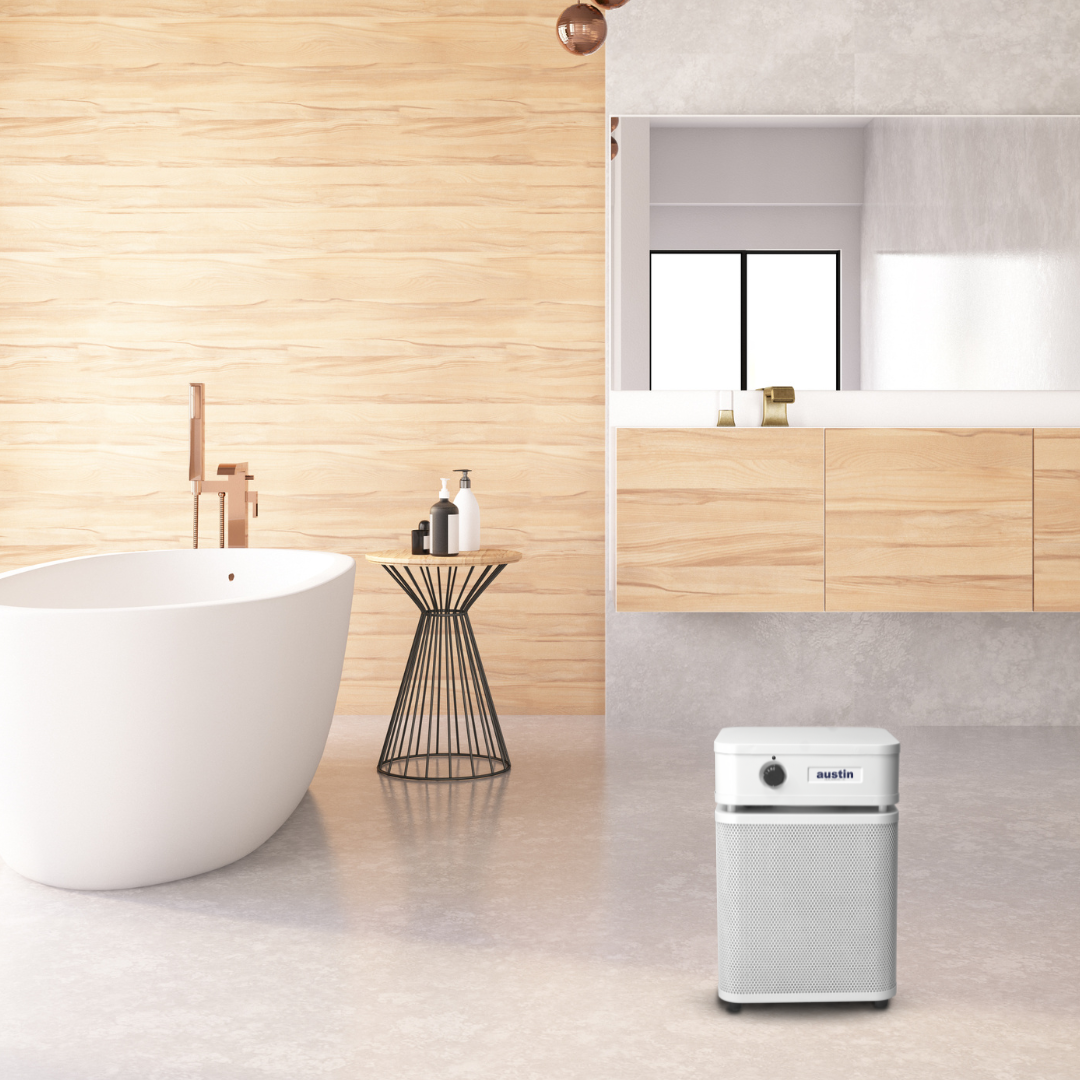 Austin Air Healthmate Plus Jr Air Purifier Lifestyle 2