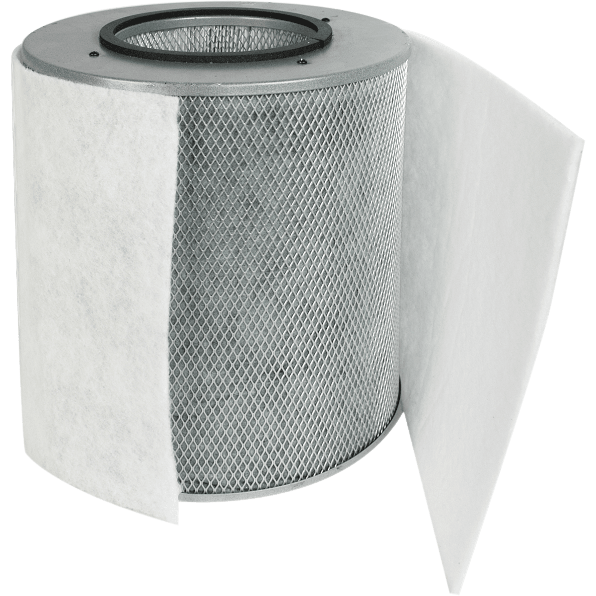 Austin Air Healthmate Plus Replacement Filter with Prefilter