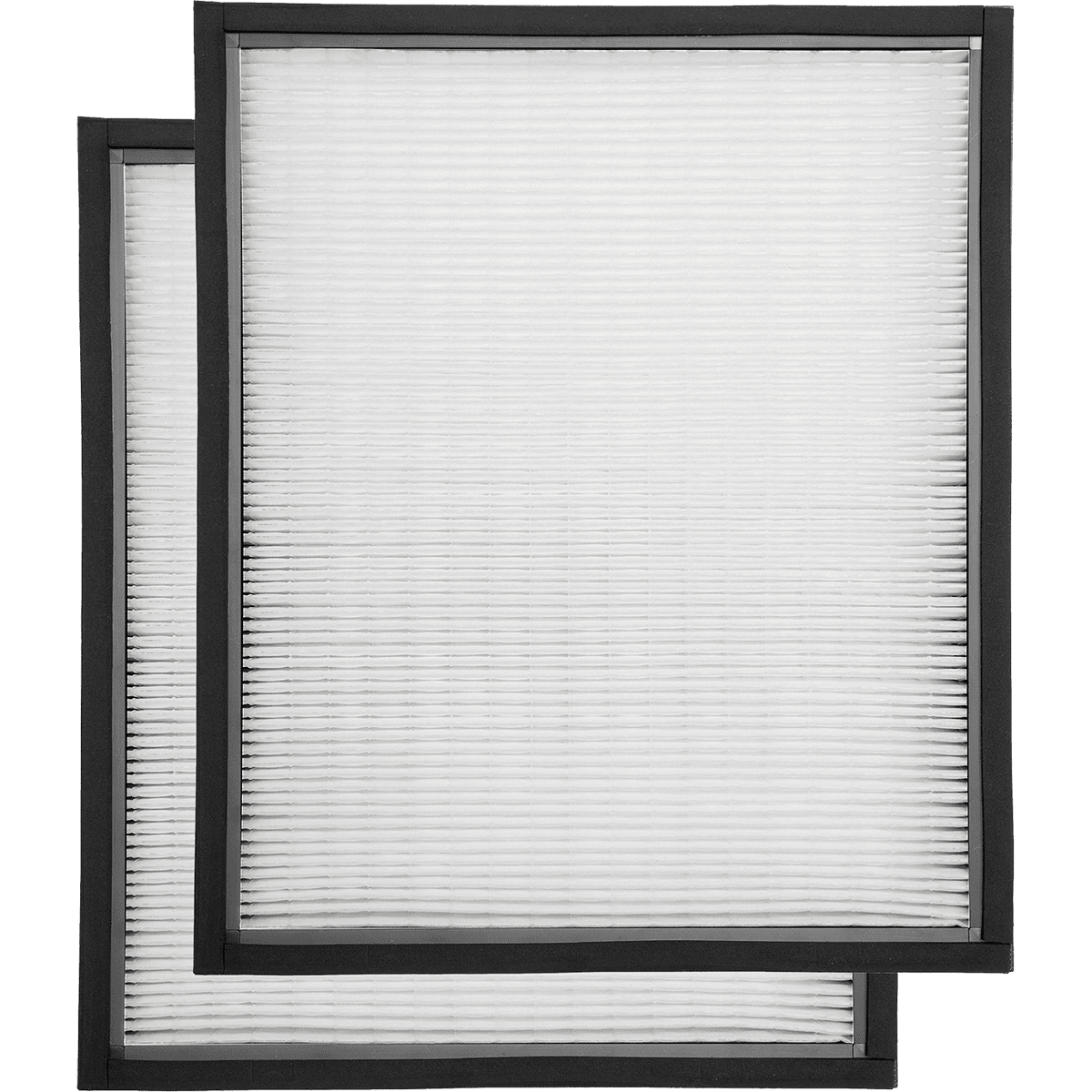 B-Air Raptor Hepa Filter - 2-Pack