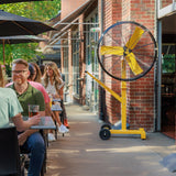 Big Ass Fans AirEye Low Rider Pedestal Fan