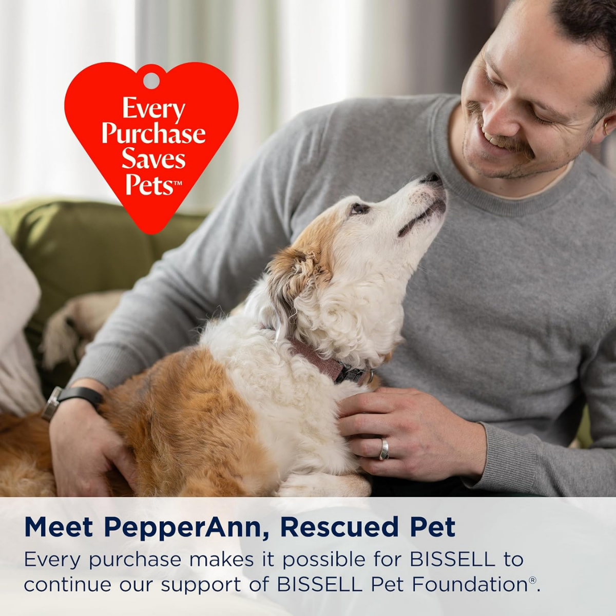 Bissell TurboClean Pet Upright Carpet Cleaner - Infographic 6