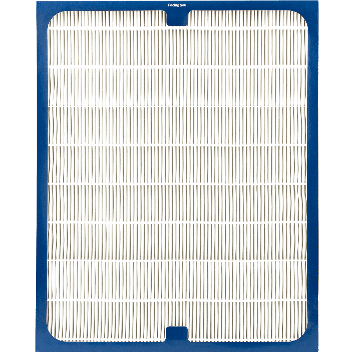 Blueair 200 / 300 Series Dual Protection Filter 201DPF