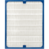 Blueair 200 / 300 Series Dual Protection Filter 201DPF