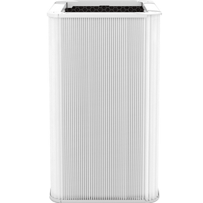 Blueair Blue Pure 121 Replacement Particle Plus Carbon Filter