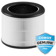 Coway Airmega 100 True HEPA Replacement Filter - Main