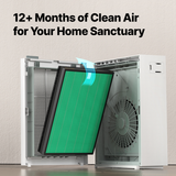 Coway Airmega 150 & 160 HEPA Filter Set - Infographic 3