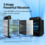 Coway Airmega 200M HEPA Air Purifier Black - Infographic 4