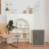 Coway Airmega 240 Hepa Air Purifier Gray Lifestyle 2
