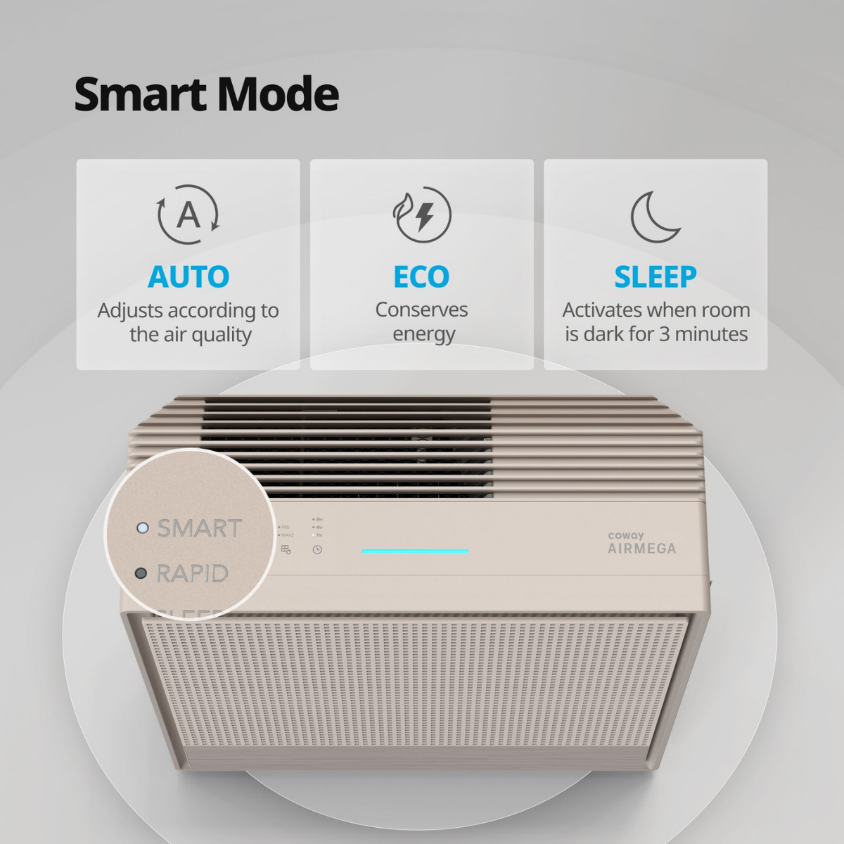 Coway Airmega 250 Large Room HEPA Air Purifier - Infographic 3