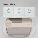 Coway Airmega 250 Large Room HEPA Air Purifier - Infographic 3