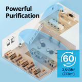 Airmega 300 HEPA Air Purifier - Infographic 2