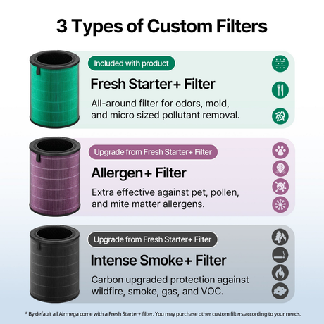 Coway Airmega 350 Replacement Filters - Infographic 1