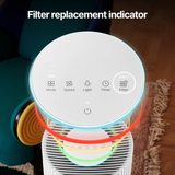 Coway Airmega 350 Replacement Filters - Infographic 9
