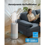 Coway Airmega 450 Large Room Home and Office HEPA Air Purifier - Infographic 11