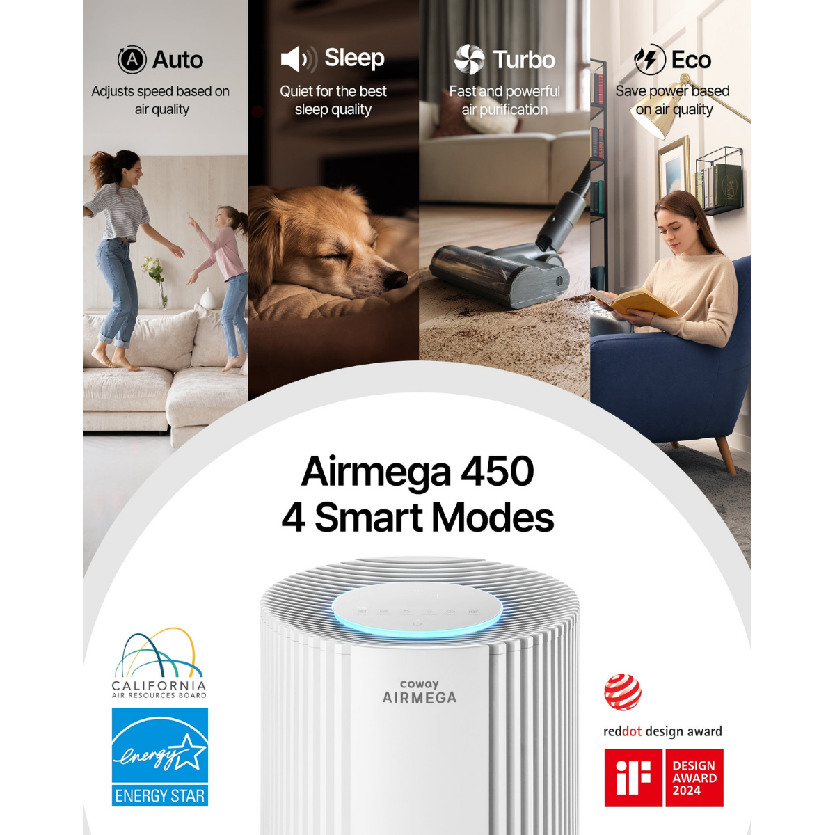 Coway Airmega 450 Large Room Home and Office HEPA Air Purifier - Infographic 3