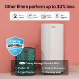 Coway Airmega 450 Replacement Filters - Infographic 1