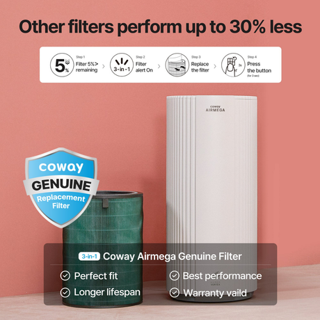 Coway Airmega 450 Replacement Filters - Infographic 1
