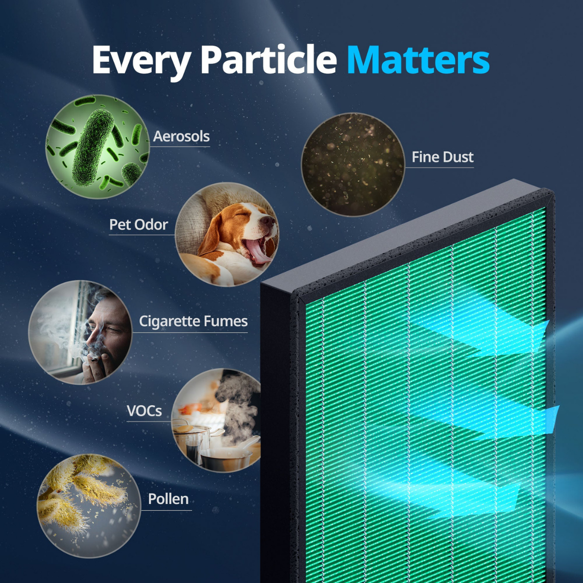 Coway Airmega Icon Max2 Filter Set - Infographic 2