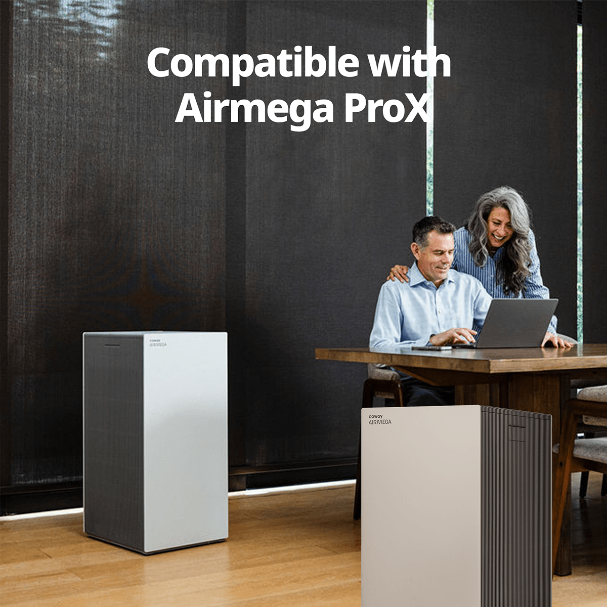 Coway Airmega Pro X Max2 Filter Set - Infographic 1