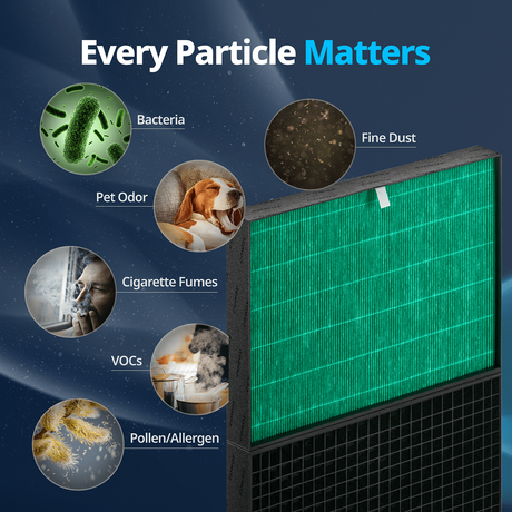 Coway Airmega Pro X Max2 Filter Set - Infographic 5