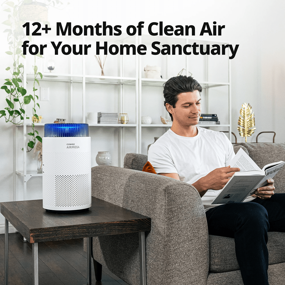 Coway Airmega 100 True HEPA Replacement Filter - Infographic 4