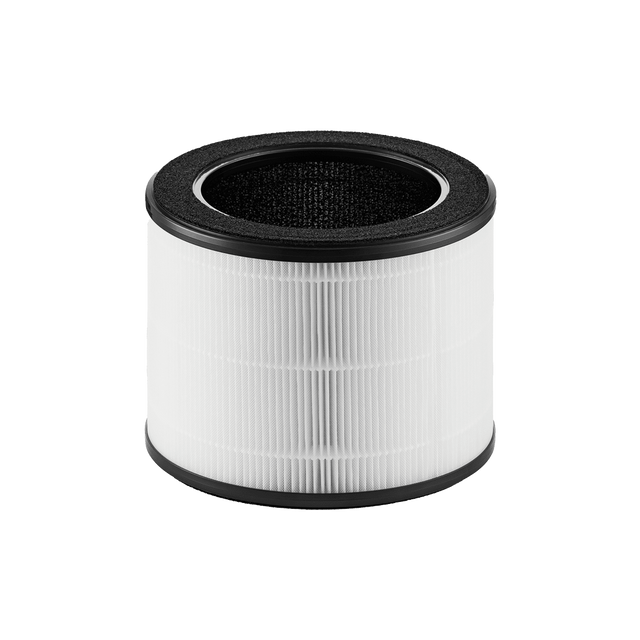 Coway Airmega 100 True HEPA Replacement Filter - Main