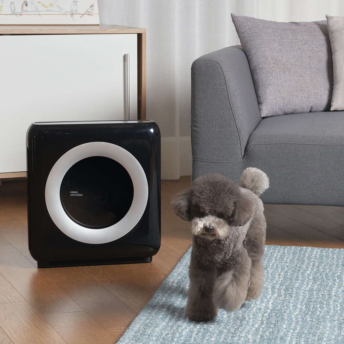 Open-Box: Coway AP-1512HH Mighty Air Purifier with True HEPA Filtration - Black