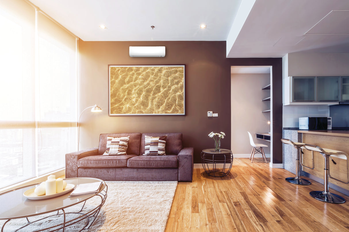 Daikin Oterra 9,000 BTU Ductless Mini Split Heat Pump 115V