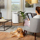 DeLonghi Pinguino 7,200 BTU Smart Wi-Fi Portable Air Conditioner w/ Heat - in Living Room with Dog