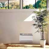 Friedrich Wallmaster 12,000 BTU Thru-the-Wall AC - Installed