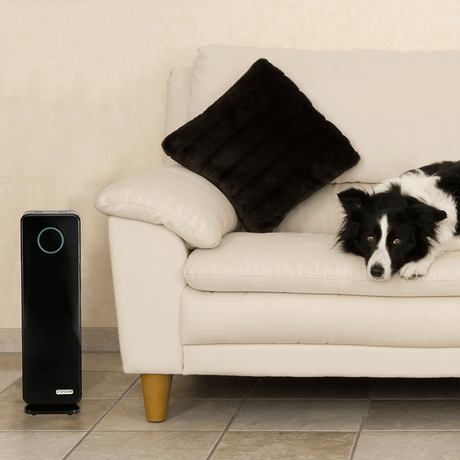GermGuardian AC4300BPTCA Elite 3-in-1 Pet Pureâ„¢ True HEPA Air Purifier - With Dog in Living Room