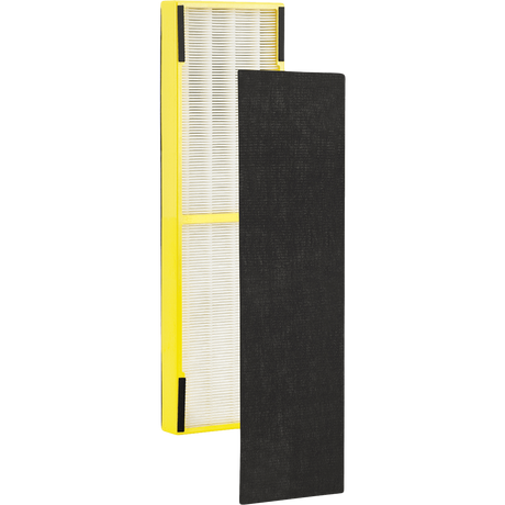 GermGuardian True HEPA Replacement Filter B FLT4825