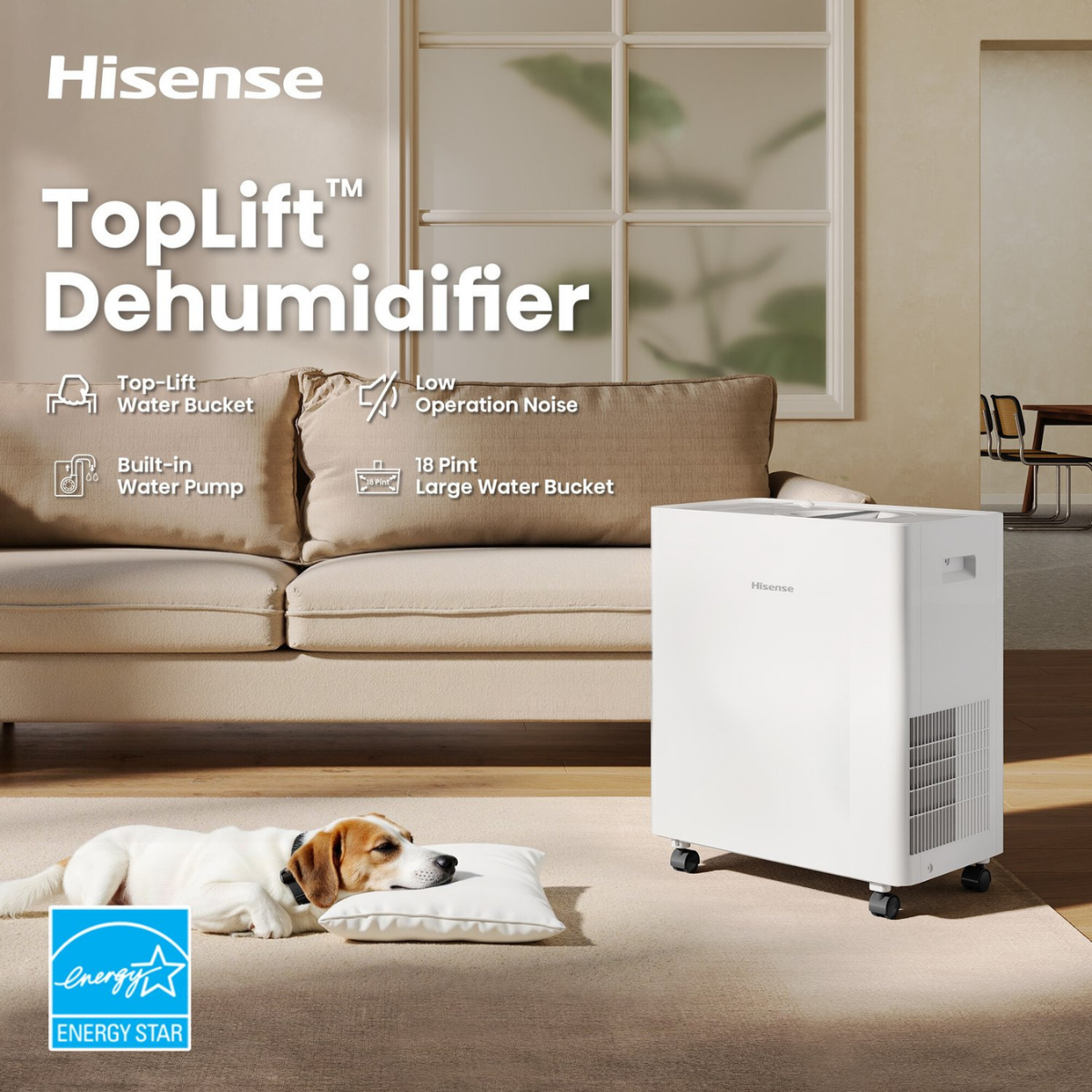 Hisense 50 Pint Lift Up Dehumidifier - Infographic 1