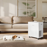 Hisense 50 Pint Lift Up Dehumidifier - Lifestyle