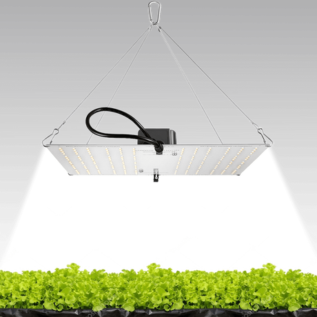 HLG 100 V2 High Efficiency White Light Quantum Board - Main with Plants