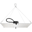 HLG 100 V2 High Efficiency White Light Quantum Board