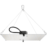 HLG 100 V2 High Efficiency White Light Quantum Board