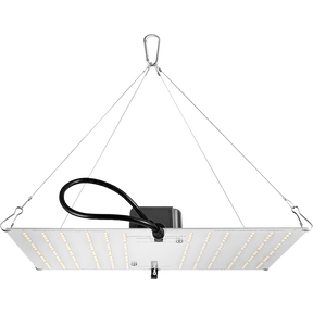 HLG 100 V2 High Efficiency White Light Quantum Board