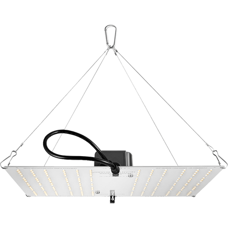 HLG 100 V2 High Efficiency White Light Quantum Board