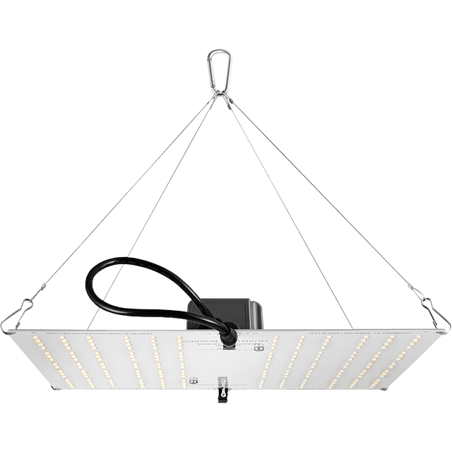 HLG 100 V2 High Efficiency White Light Quantum Board