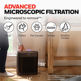 Honeywell HPA5100B Allergen+ True HEPA Air Purifier - infographic 3