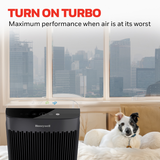 Honeywell HPA5100B Allergen+ True HEPA Air Purifier - infographic 6