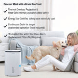 Honeywell 30 Pint Dehumidifier w/ Optional Wi-Fi - Features