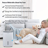 Honeywell 30 Pint Dehumidifier w/ Optional Wi-Fi - Features