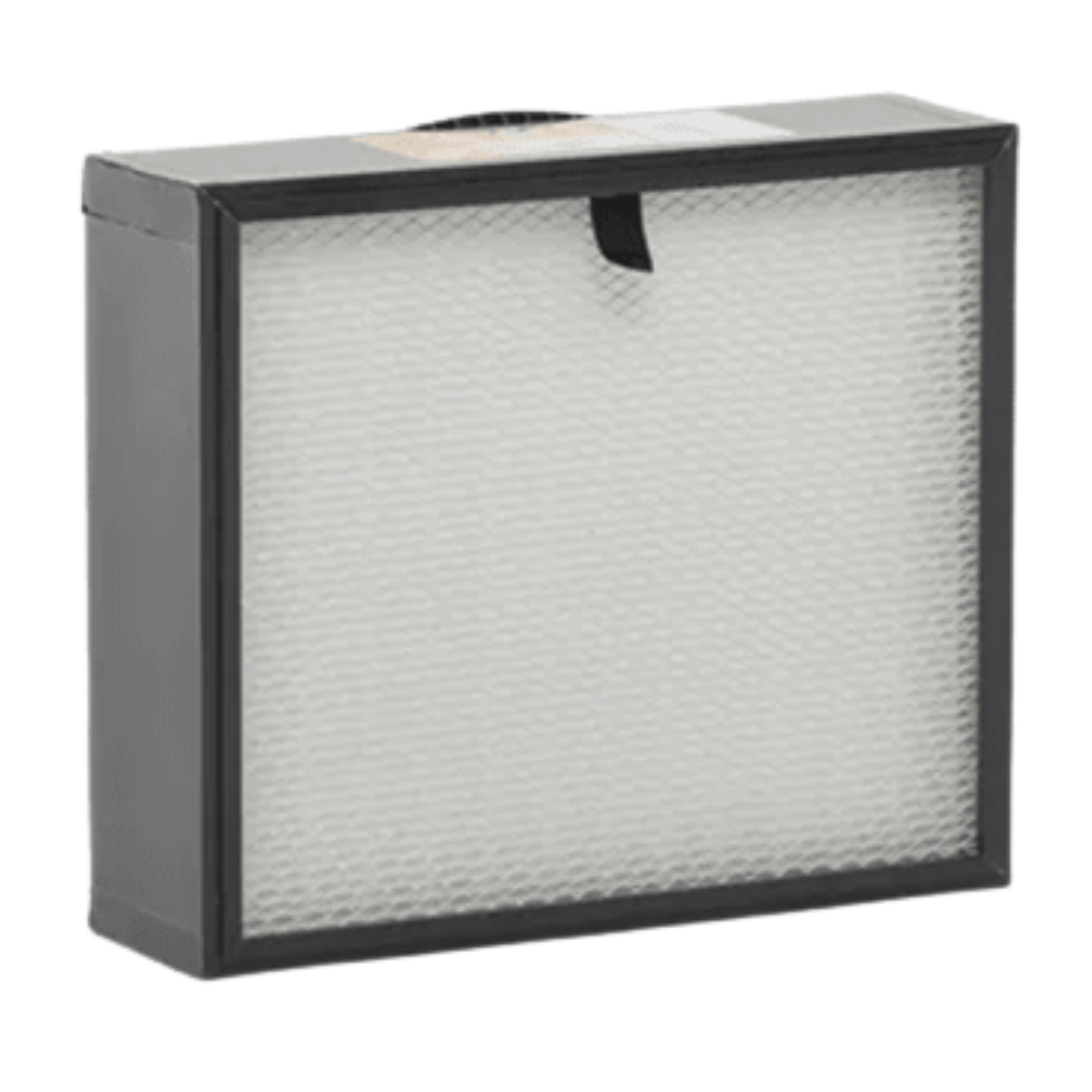 Husqvarna A25 HEPA Portable Air Scrubber - Filter