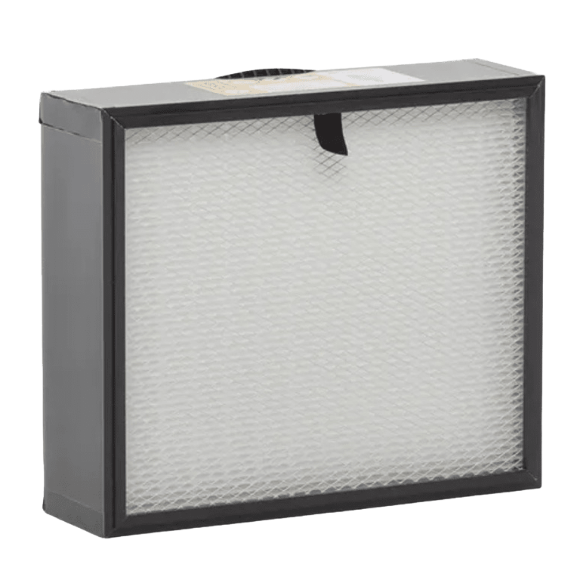 Husqvarna HEPA Filter for A25 Air Scrubber - Main