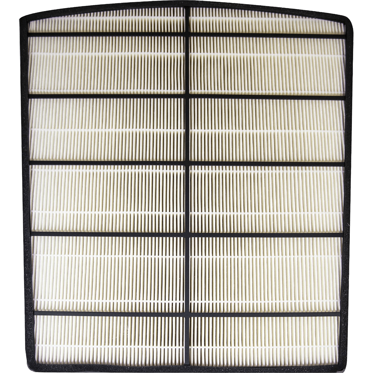 LivePure True HEPA Replacement Filter for Bali (LP-HF550) - Back