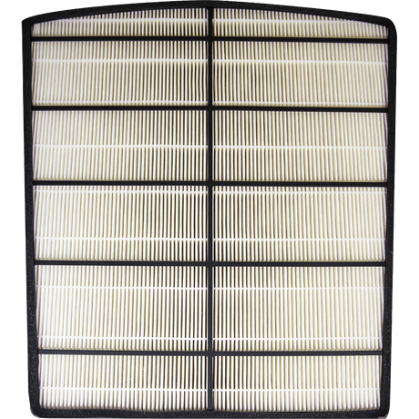 LivePure True HEPA Replacement Filter for Bali (LP-HF550) - Back