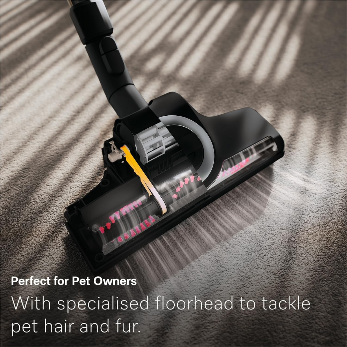 Miele Guard L1 Cat & Dog Canister Vacuum Cleaner - Infographic 1