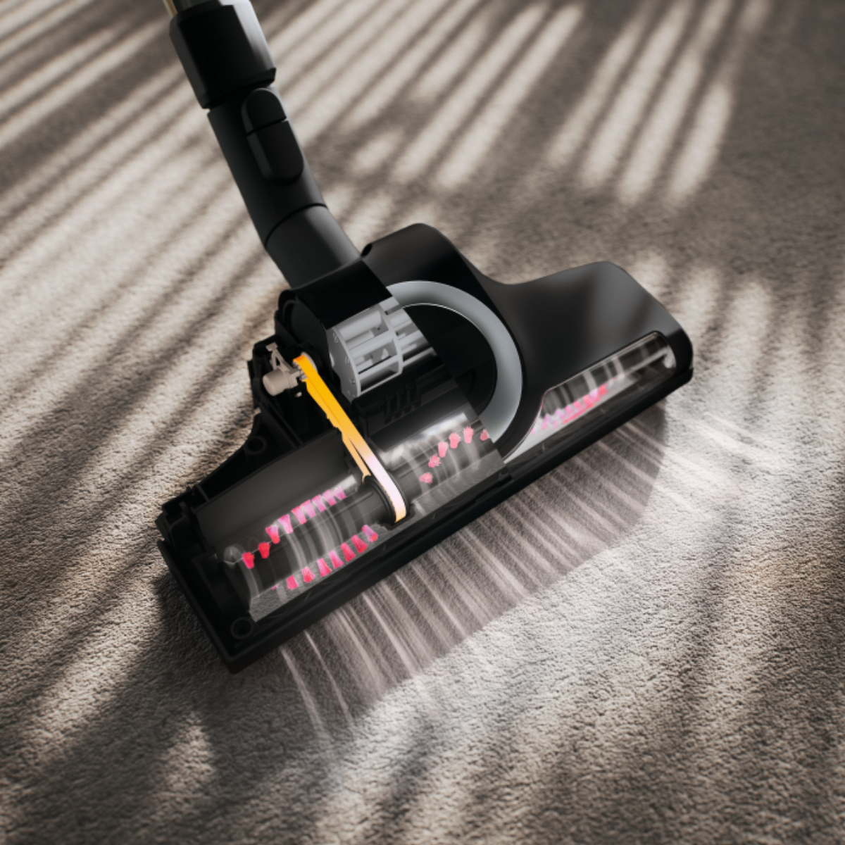 Miele M1 Cat & Dog Canister Vacuum Cleaner - Infographic 2
